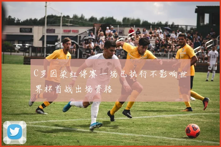C罗因染红停赛一场已执行不影响世界杯首战出场资格